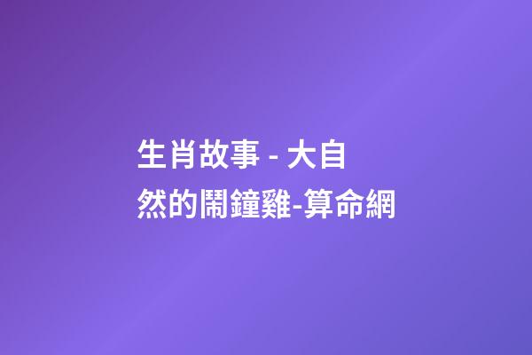 生肖故事 - 大自然的鬧鐘雞-算命網